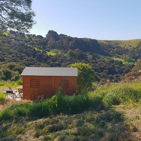 Wild Days Accommodation بالم بيتش المظهر الخارجي الصورة